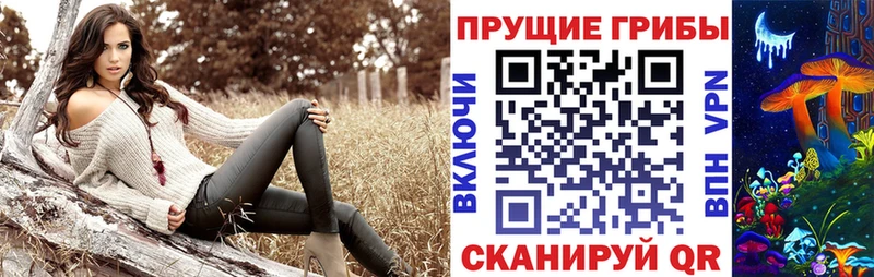 Галлюциногенные грибы Cubensis  Полярные Зори 